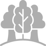 Manicured Green Spaces